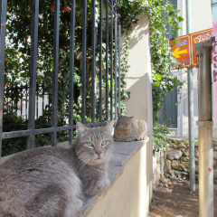 athen_013