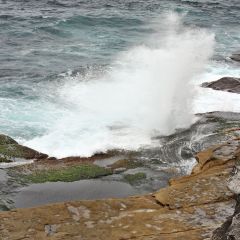 australien_015