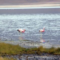 bolivien_005