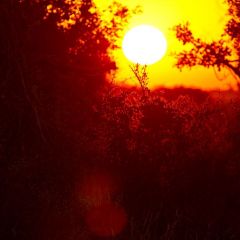 botsuana_002