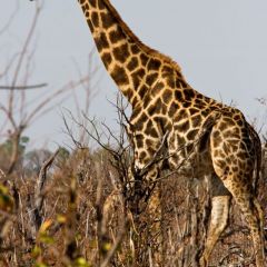 botsuana_003