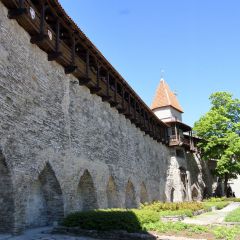estland_040