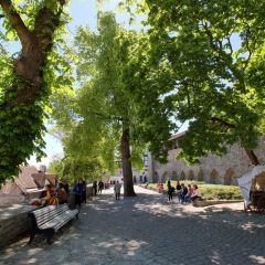 estland_044