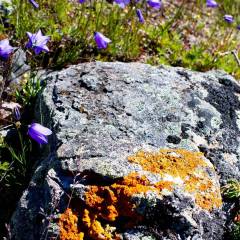 groenland_013
