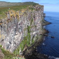island_007