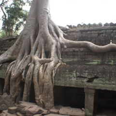 kambodscha_027
