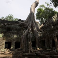 kambodscha_031
