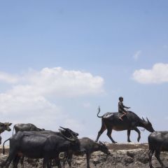 kambodscha_047