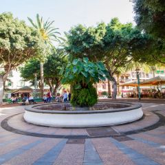 kanaren_008