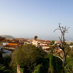 kanaren_041