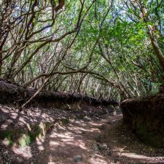 kanaren_046