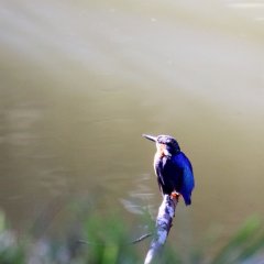madagaskar_008
