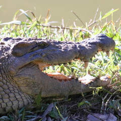 madagaskar_009