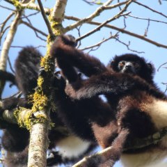 madagaskar_023