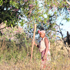 madagaskar_030
