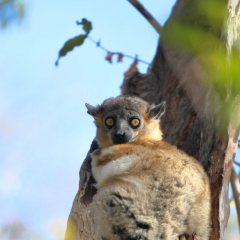 madagaskar_036