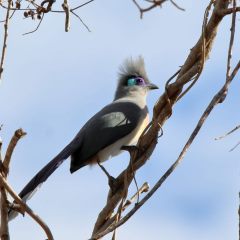 madagaskar_046