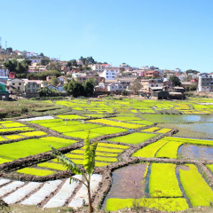madagaskar_070