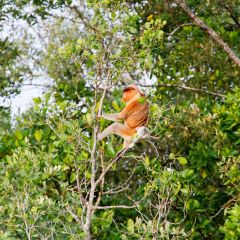 malaysia_021