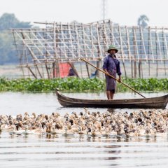 myanmar_049