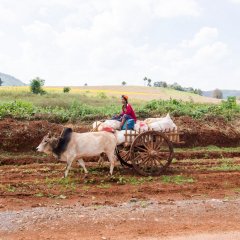 myanmar_067