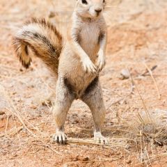namibia_002