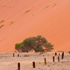 namibia_005