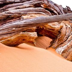 namibia_006