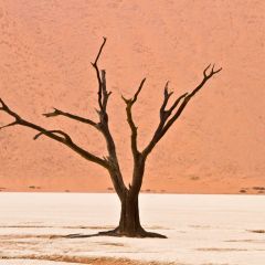 namibia_007