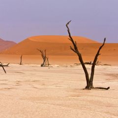 namibia_008