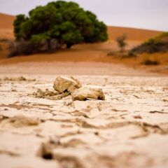 namibia_009