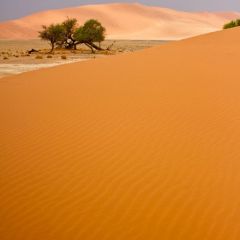 namibia_011