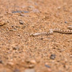 namibia_013