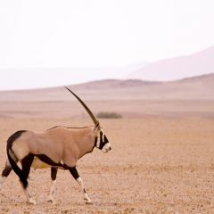 namibia_014