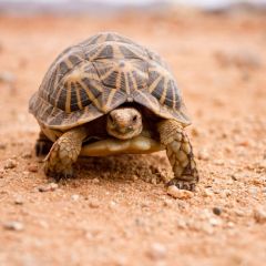 namibia_018