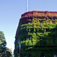 neuseeland_001