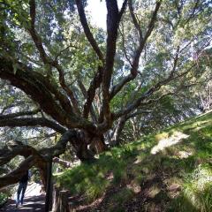 neuseeland_004