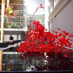 neuseeland_005