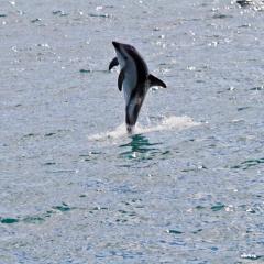 neuseeland_013