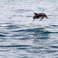 neuseeland_015
