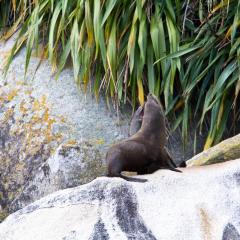neuseeland_020