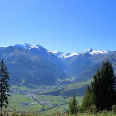 pinzgau_026