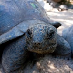 seychellen_009
