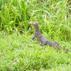 singapur_012