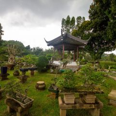 singapur_014