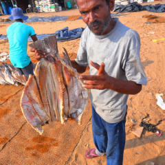 srilanka_001