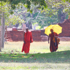 srilanka_004