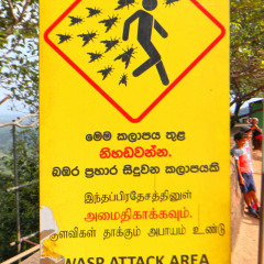 srilanka_025