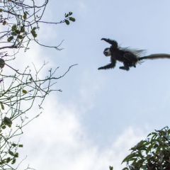 tansania_002