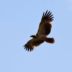 tansania_008
